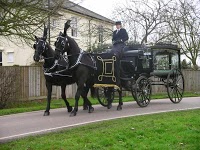 Carlton Carriages 1073478 Image 1